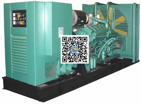 乐东笼型异步发电机的电力电子控制技术