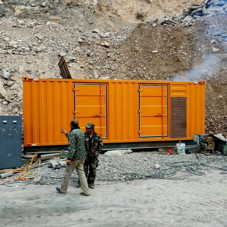 乐东如何选择适合自己的 800KW 柴油发电机组？