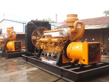 乐东发电机组的频率规格是如何确定的？