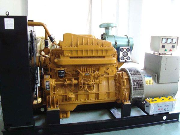 乐东有哪些有效的方法可以预防柴油发电机组的蓄电池出现硫化现象？